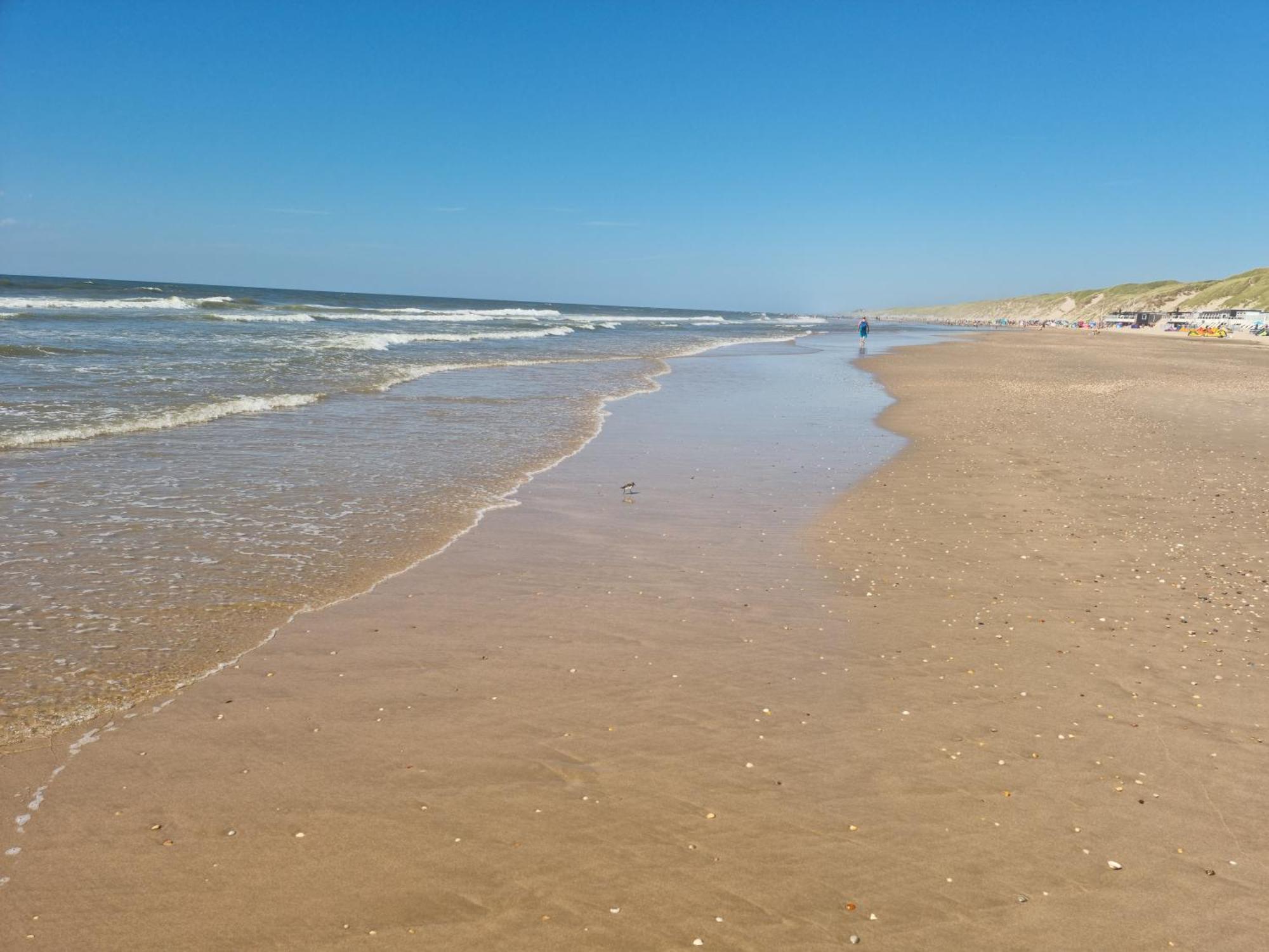 Hotel Dw Castricum Zewnętrze zdjęcie